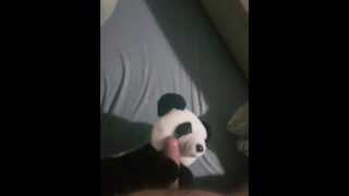 helpfull panda.