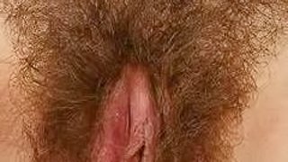 Hairy Pussies are not always that nasty as it may look