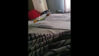 Step Mom wants to Suck and Fuck step son while Dad is in the same Room