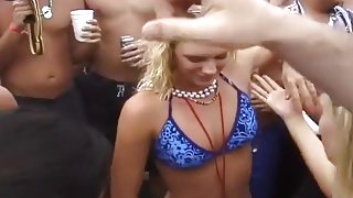 Spring Break Whores Flashing Their Tits