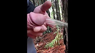 A walk in the woods:  another great piss, and of course a great cumshot too!