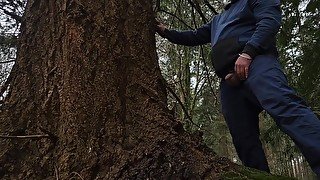 Pissing on a tree