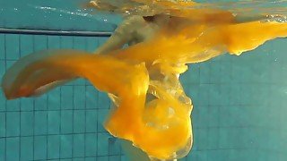 Yellow and Red clothed teen underwater