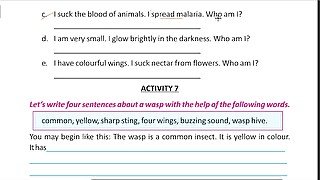 Write four sentence about a wasp Solve by Bikash Edu care