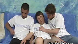 Threesome Gay Sex And Cum Felching