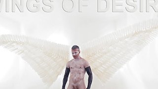 Wings of Desire - A Bound Gods Feature Presentation