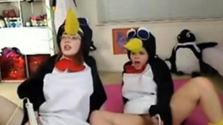 Teen penguins on cam