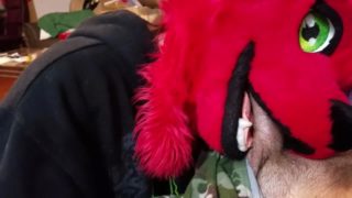 Dumb Bitch Fox Puts Dick In Her Mouth