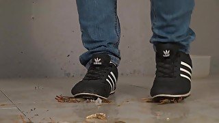 sneakers trample crawdad