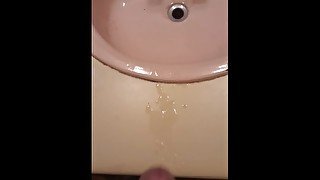 Quick bathroom cumshot