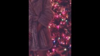 Sexy Fuck By The Christmas Tree