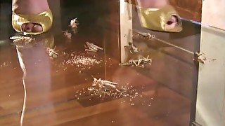 Gold heels locusts crush
