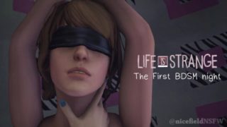 Life is Strange: The First BDSM Night teaser (more coming soon!)