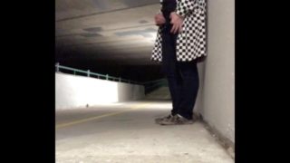 Trying To Get Caught - Bridge Underpass