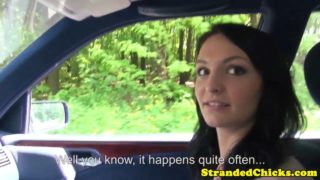 Beautiful hitchhiking eurobabe blows driver