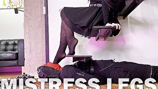 Slave worship Mistress feet and booty in sexy black fishnets and high heels