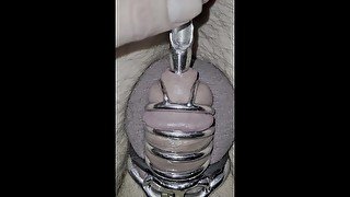 Urethra stretching locked in my cage!