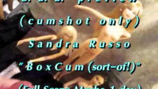 B.B.B.preview: Sandra Russo "BoxCum (sort-of!)"(cum only) WMV with SloMo