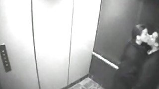 Security cam - blow job in an elevator