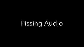 Pissing Audio Only 1 minute of Piss