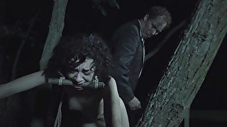 A Lars von Trier film