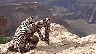 Contortion Performance On Grand Canyon - Watch4Fetish