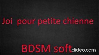 Joi pour petite chienne BDSM soft ( porno audio pour femme )