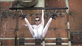 flexilady alina