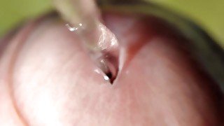 Best Close Up Piss