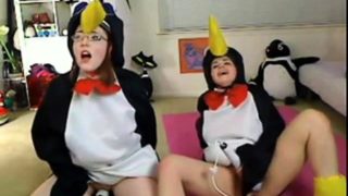 Teen penguins on cam