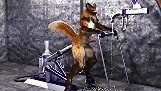 Fox test hump machine