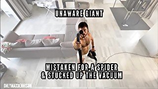 Unaware giant - trapped on spiders web and sucked up the vacuum