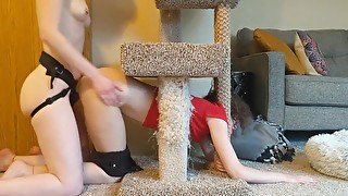 Lesbian girlfriend gets stuck in cat tree