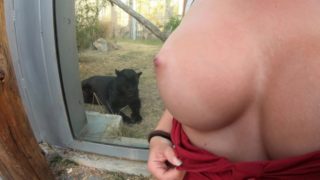 Got Horny in the ZOO & Public CUM on her BIG TITS