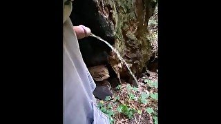 A walk in the woods: enjoying a good piss!