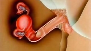 Huge Dick Impregnation Porn - Big Cock Impregnation HD Porn Search - Xvidzz.com