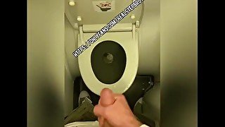 Wanking plane toilet