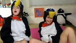 Teen penguins on cam