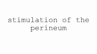 masturbation techniques for men. stimulation of the perineum.