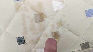 Small Piss on Bed Mattress