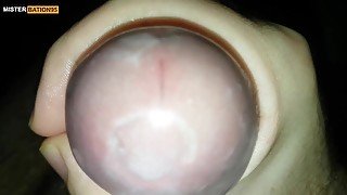 Close-up cumshot out of glans inside a transparent tenga egg