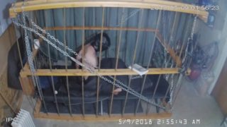 The Cage Cam May 9 2018 0041 Another day starts.. (in darkness)