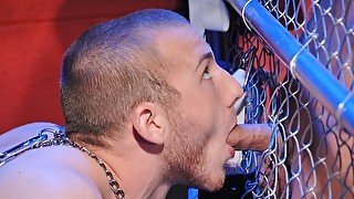 Needy men try unique perversions in their surreal cam duo