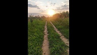 POV Daring Guy Make a Piss in Public during an amazing sunset # almost get caught !