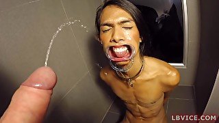 Ladyboy Cat Gives Blowjob After Getting Pissed On