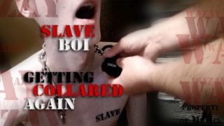 Slaveboi Getting Collared Again