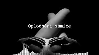 Oplodnění samice - erotic audio