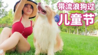 Take homeless dog to spend a wonderful Day 带流浪狗小院里颜值最高的一只过六一