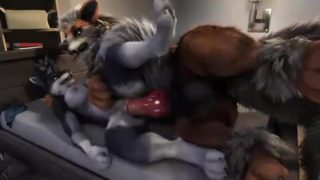 Straight Wolf Yiff-HD Animation!