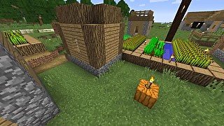 The villager project (I just wanted to keep them safe) - Minecraft Java modded glitch